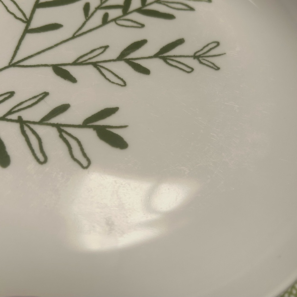WEST ELM 3-pcs Green and White Botanical Dinnerware Set #0725257 - Picture 9 of 10